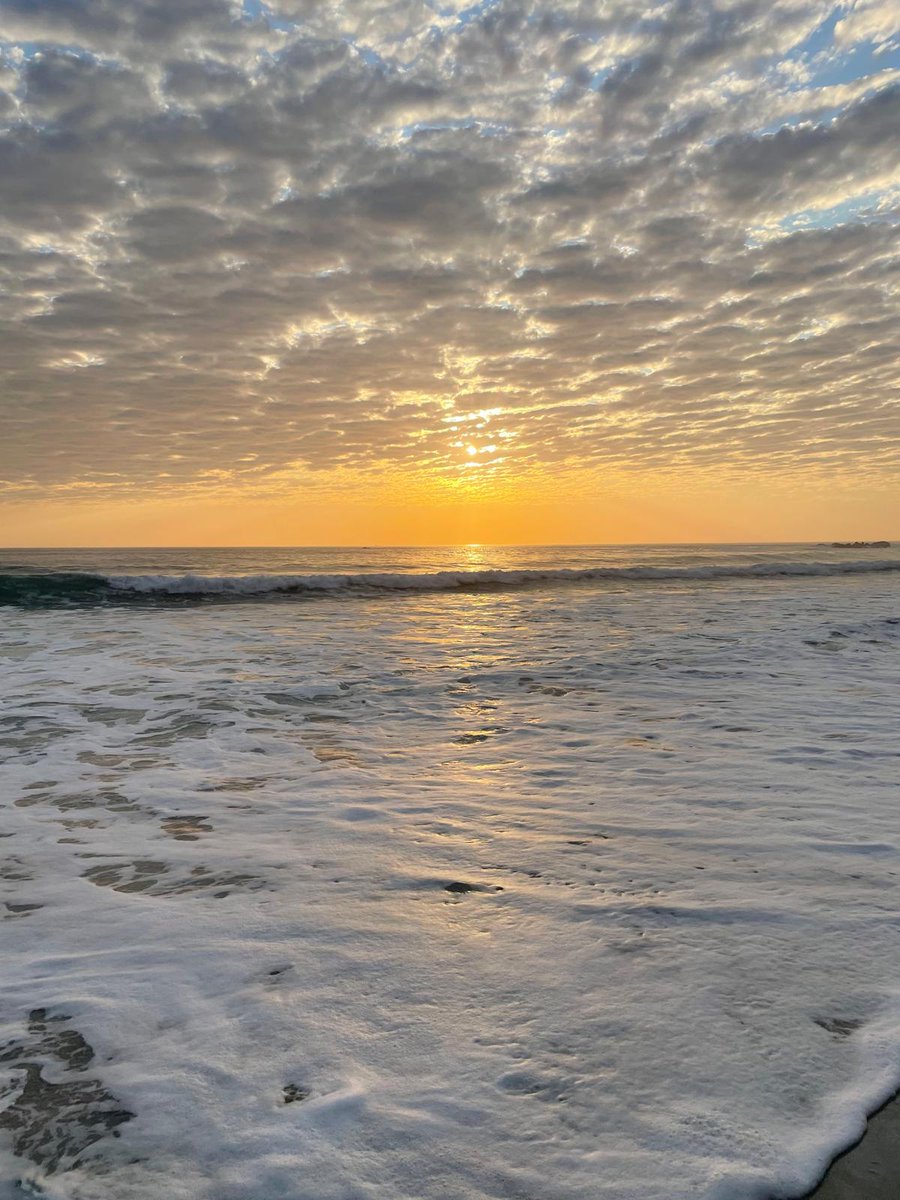 Sven Ossowski tweet media