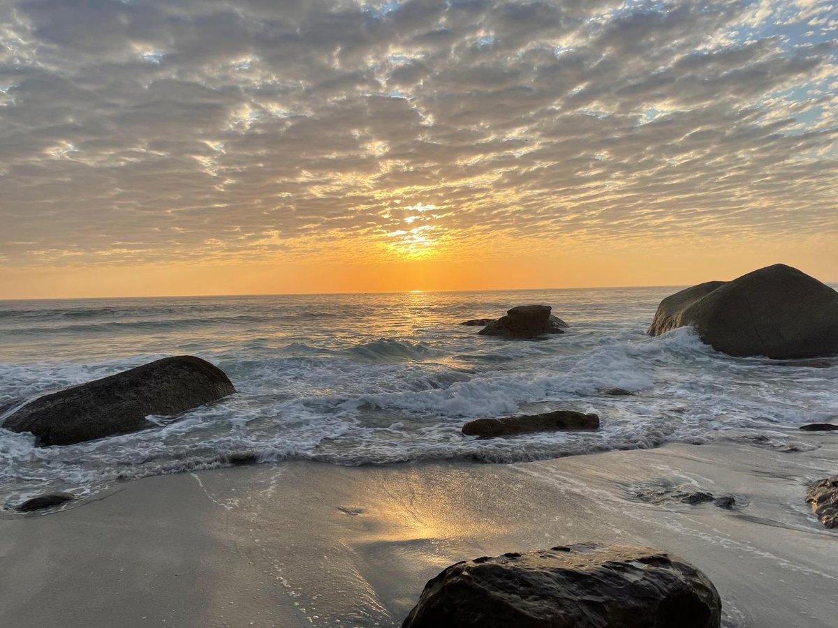 Sven Ossowski tweet media