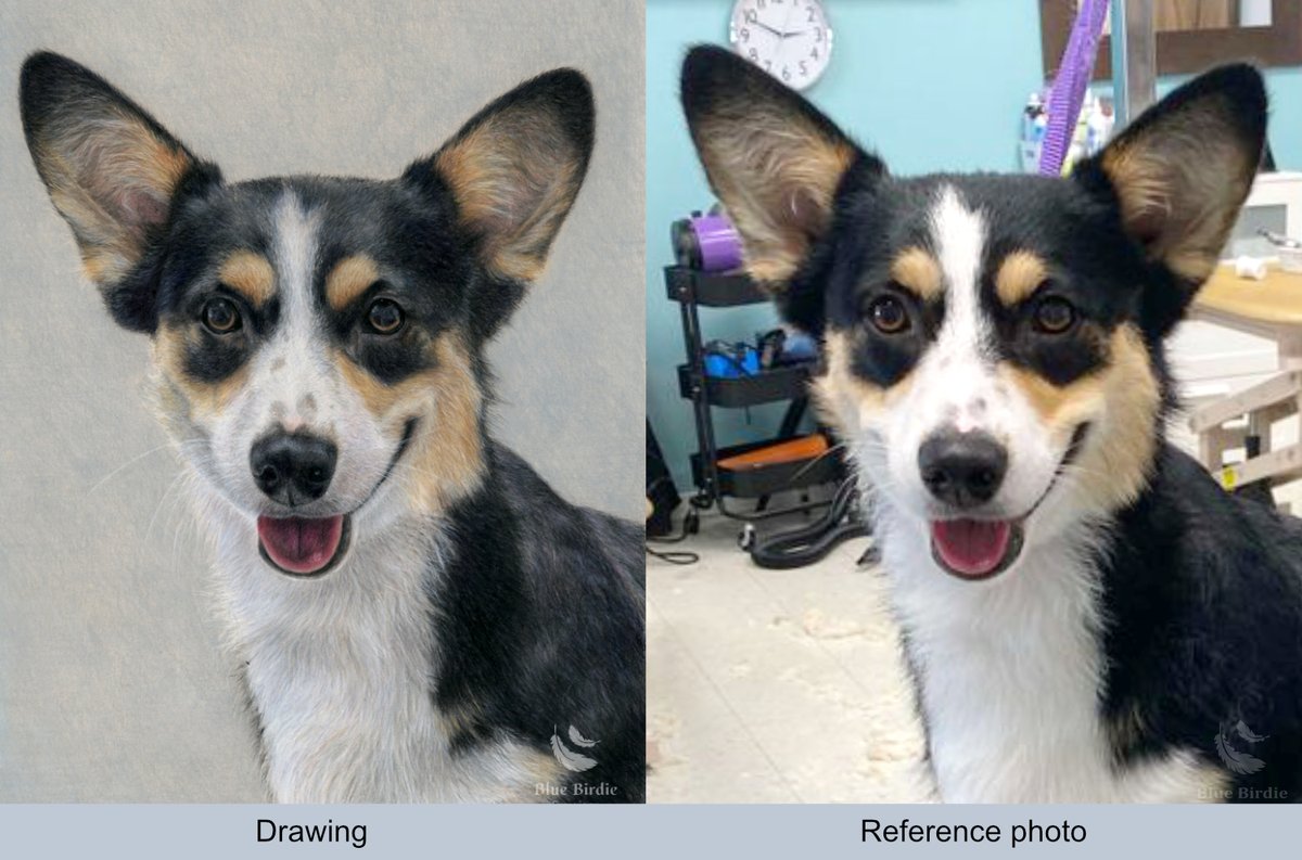 Blue Birdie Drawings tweet media