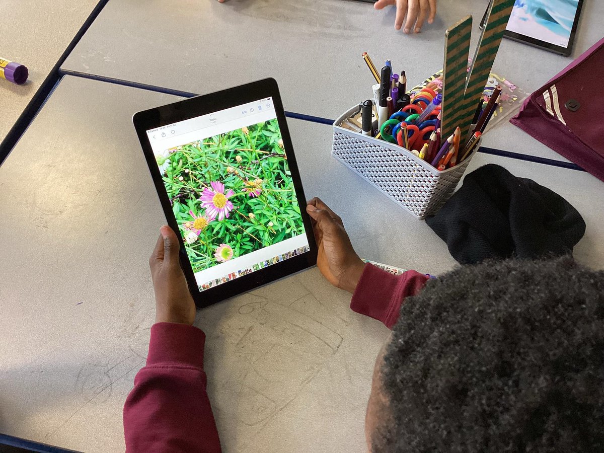 church_prim's tweet photo. Check out these amazing nature art photographs π a great example of science & active enrichment π @PEchurchprim1 @CLOtC @HTempestPhoto @UKNikon @NiallO7Brien #momentsofsuccess https://t.co/mWKkGziJUu