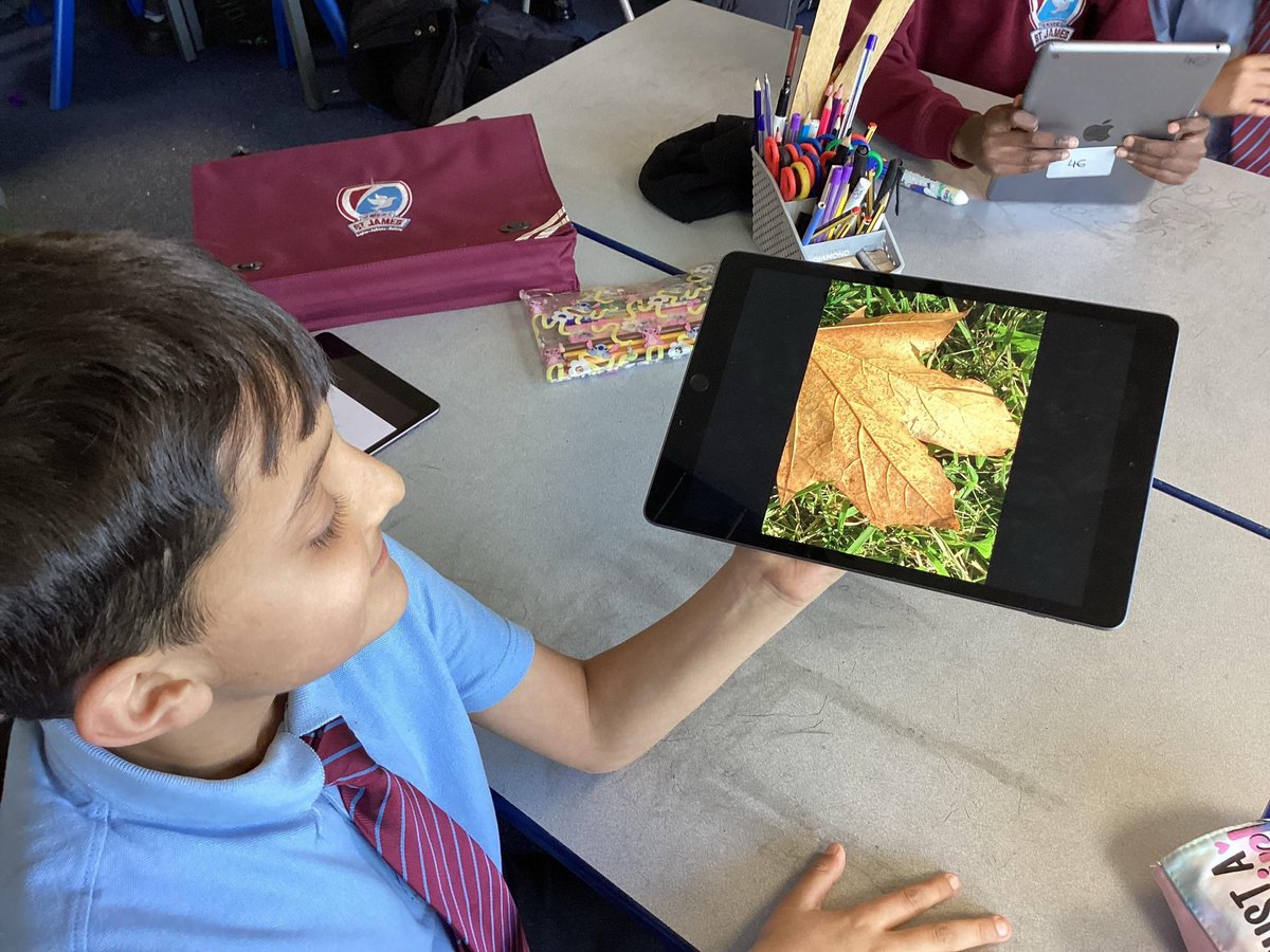 church_prim's tweet photo. Check out these amazing nature art photographs π a great example of science & active enrichment π @PEchurchprim1 @CLOtC @HTempestPhoto @UKNikon @NiallO7Brien #momentsofsuccess https://t.co/mWKkGziJUu