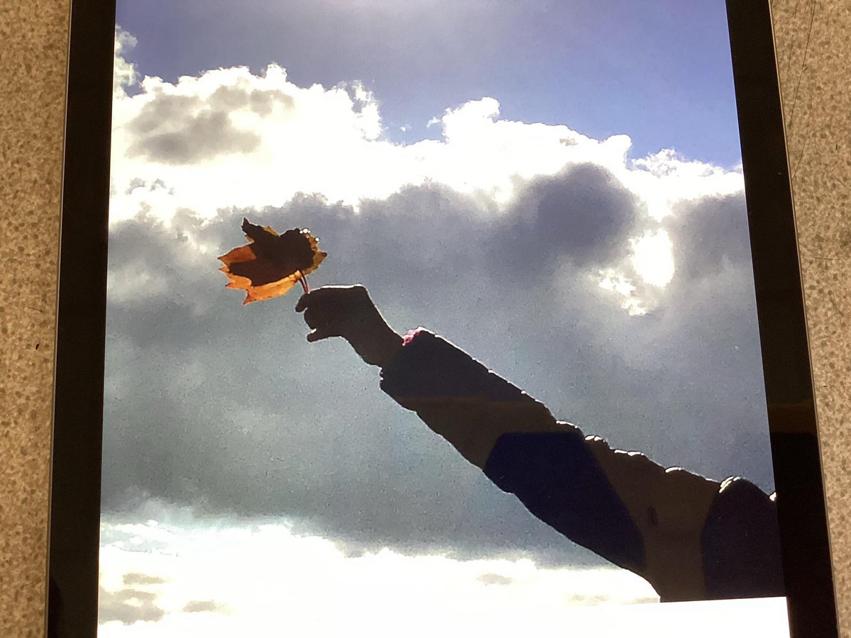 church_prim's tweet photo. Check out these amazing nature art photographs π a great example of science & active enrichment π @PEchurchprim1 @CLOtC @HTempestPhoto @UKNikon @NiallO7Brien #momentsofsuccess https://t.co/mWKkGziJUu