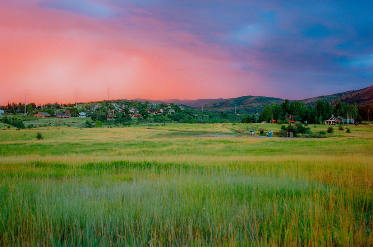 Alex Kittoe tweet media