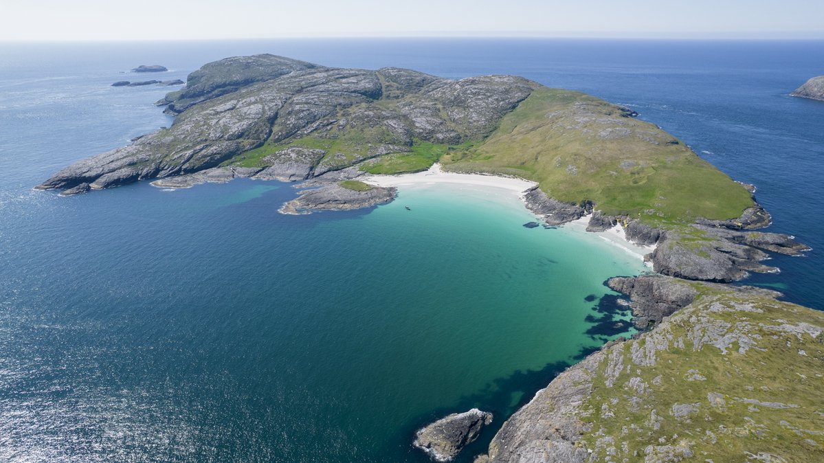 BaskingSharkScotland tweet media