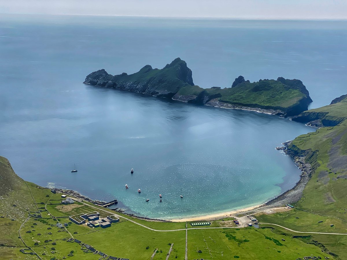 BaskingSharkScotland tweet media