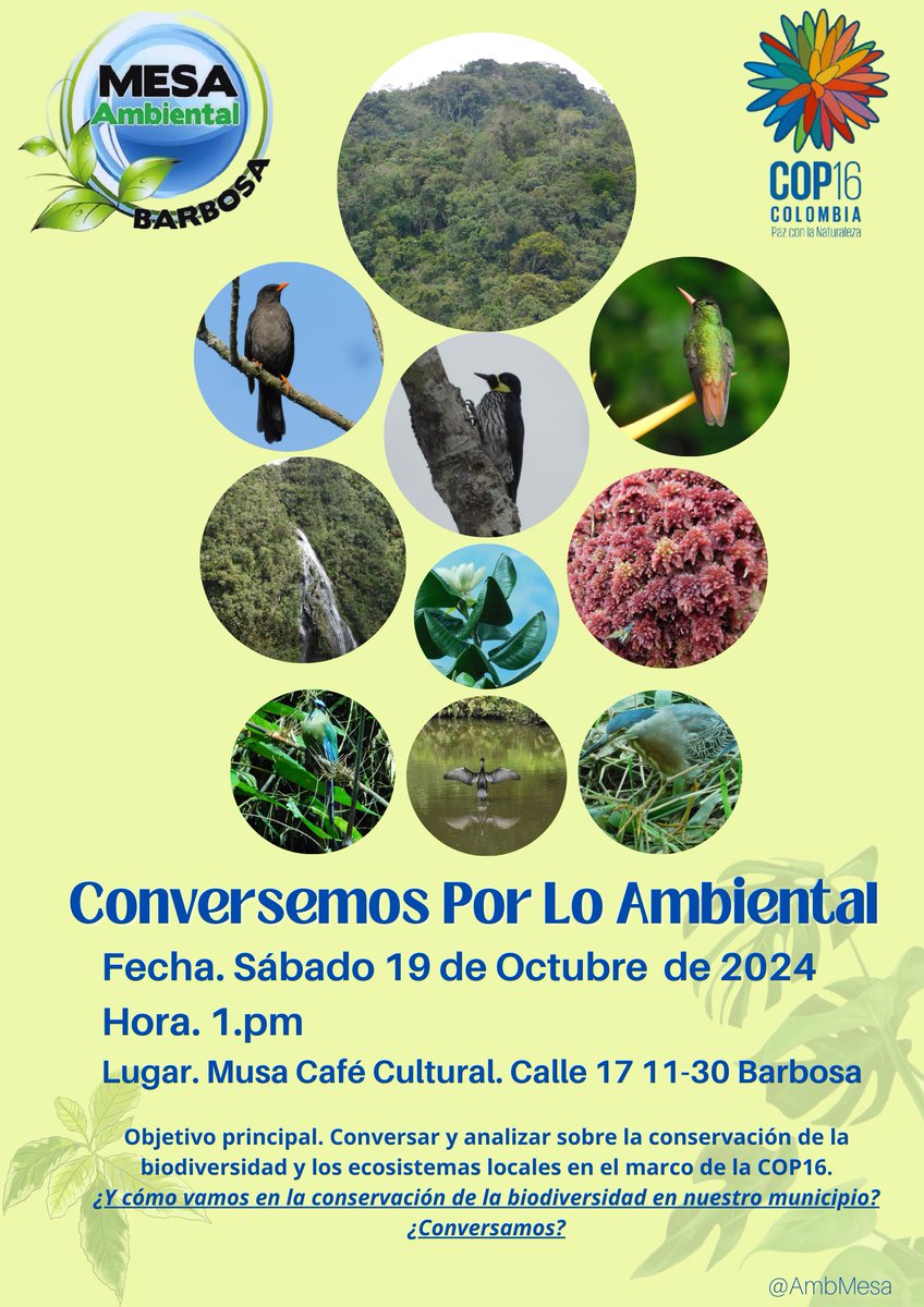 AmbMesa's tweet photo. Bienllegada la comunidad a este espacio para  Senti-pensar y accionar por lo ambiental. Les esperamos 🌬️🌎🪶 https://t.co/gthsD2oS6W