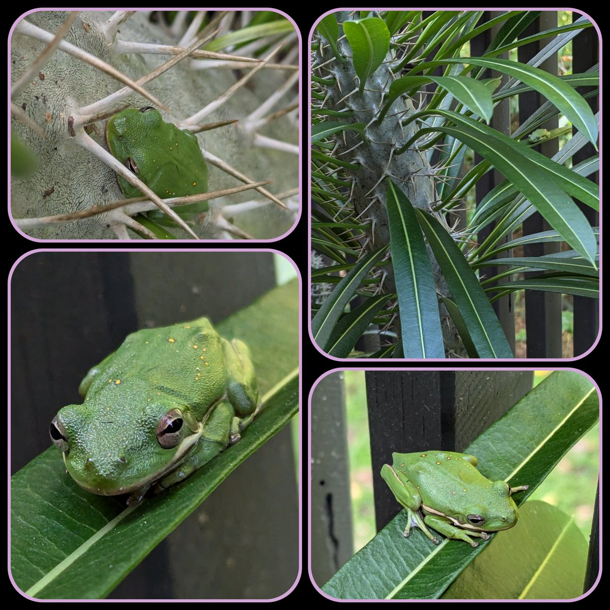 Rebecca Key, Ph. D. tweet media