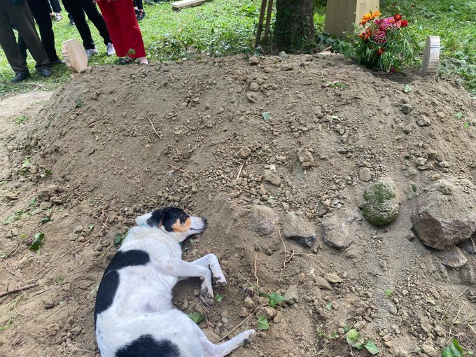 İnsanlardan daha sadıklar işte, diyecek başka söz yok ki...