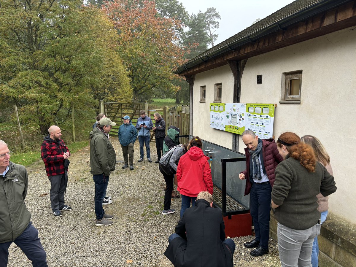cobwebdr's tweet image. Great day for @FeraScience at  @YorksArboretum with @JohnMGrimshaw and @__GreenGoddess with @EPPOnews panels with #observatree @IPSN_BGCI updates and ongoing collaborations on #VirtualReality tree health work with @VISRvr and @AskhamBryan