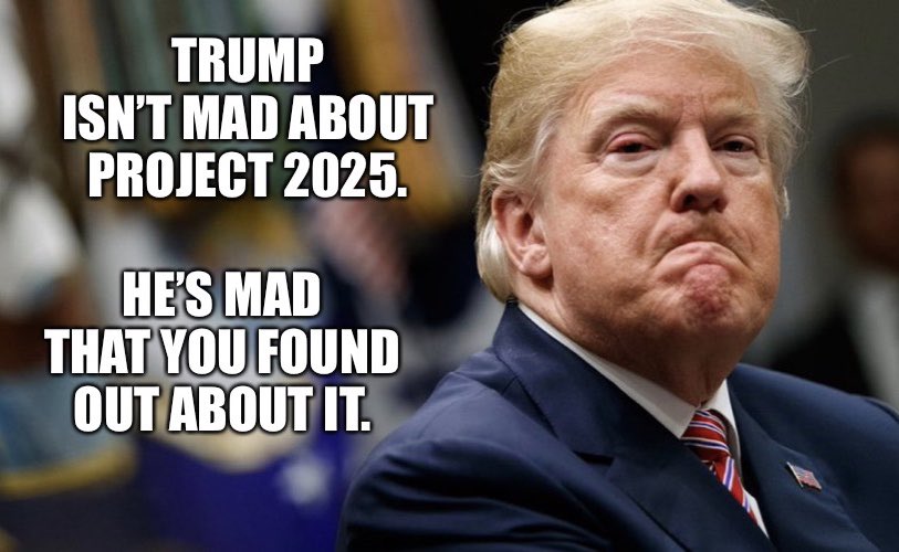 carolyn_from's tweet photo. @AaronParnas @TheSGTJoker The second trump said he knew nothing about project 2025 AND some of it is bad was the second we knew #TrumpOwnsProject2025 https://t.co/wSgrl8eEFs