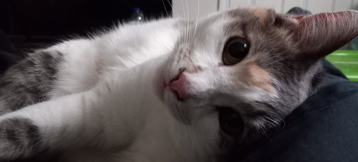 Entermeun tweet media