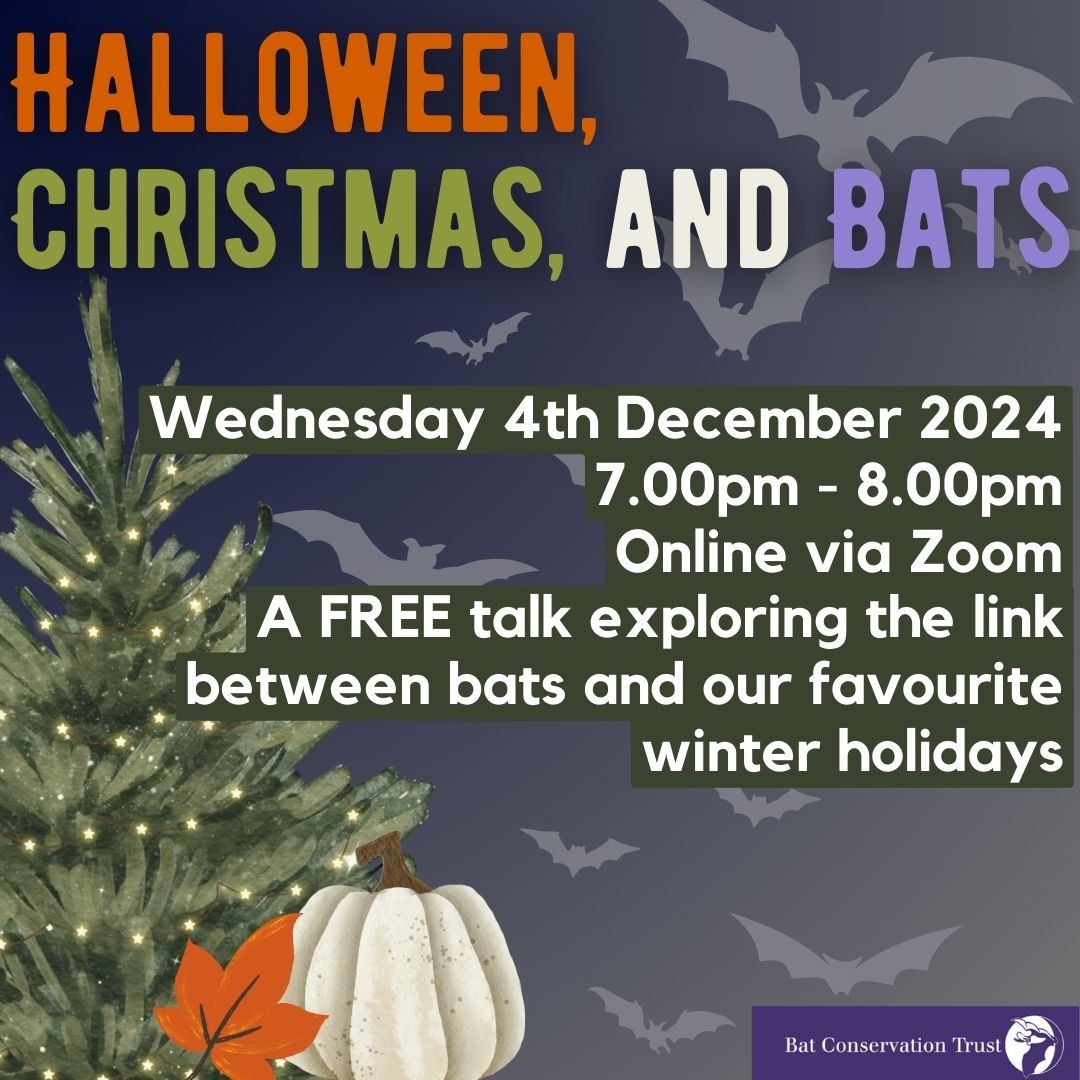 National Bat Monitoring Programme (NBMP) (@bct_nbmp) on Twitter photo Book your FREE space to find out why we associate bats with Halloween, what bats have to do with Christmas treats and how UK bats will be spending the winter months! 🎃👻🎄☃️
Head to the link in our bio and go to events to grab a place! Book your FREE space to find out why we associate bats with Halloween, what bats have to do with Christmas treats and how UK bats will be spending the winter months! 🎃👻🎄☃️
Head to the link in our bio and go to events to grab a place!