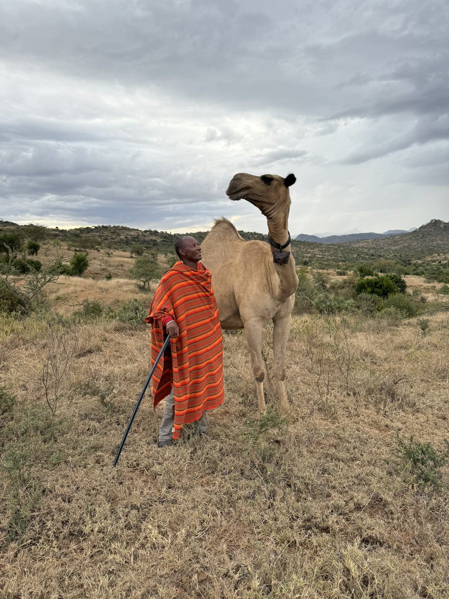 José Dubeux tweet media