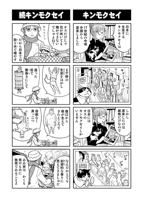 今年はまだ香りをかいでない。 