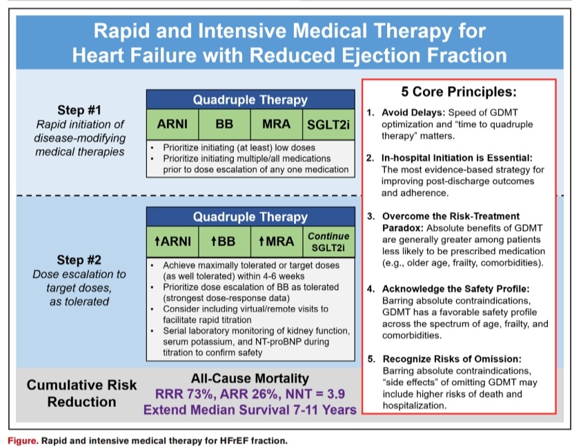 🔴Rapid and Intensive GDMT for Heart Failure: 5 Core Principles⤵️  #2024perspective  
 
🔹ahajournals.org/doi/10.1161/CI…
 #Cardiology #FOAMed #MedEd #medstudent #paramedic #Cardiology #CardioEd #medtwitter #meded #CardioTwitter #cardiotwiteros  #MedX