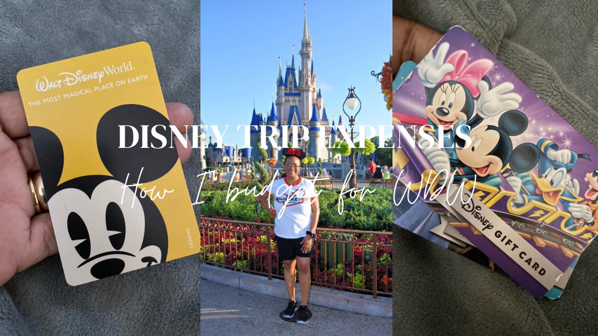 You do not (I repeat) you do not have to spend a fortune at the parks to have a good time! youtu.be/av4LxW6IwJM?si…