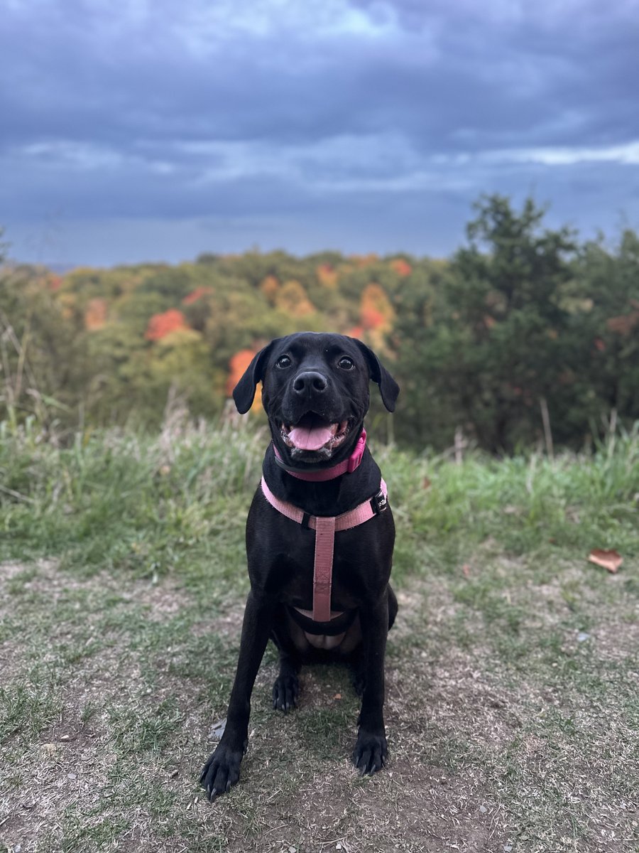 Colin Vize tweet media