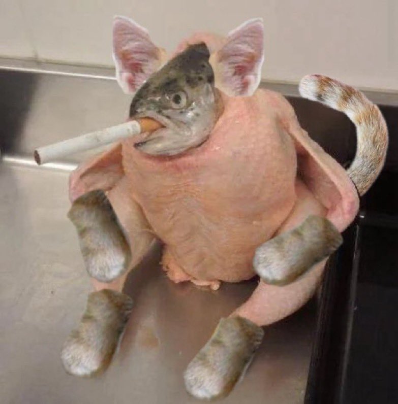 cnnr_wifhat's tweet photo. @0xBossman it’s a cat it’s a chicken it’s a fish it’s smoking

it will have been obvious in hindsight https://t.co/8t9ICOCjl9