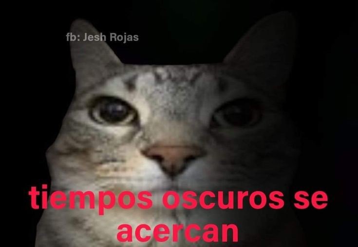 No me da la vida para hacer todo lo que tengo que hacer