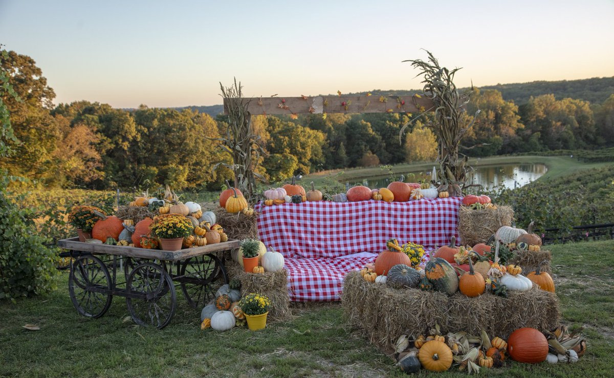 🍁🎃 Fall is here!Come snap a photo with our cozy pumpkin setup and enjoy the vineyard views.📸 Tag us in your pics! Plus, it’s Local Love Wednesday — Lumpkin County residents get 20% off all day! 🍕🍷
#LocalLoveWednesday #TrattoriaDiMontaluce