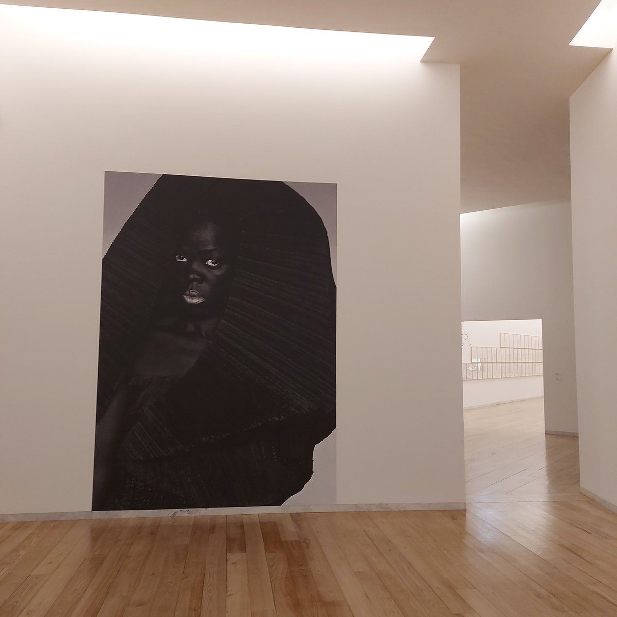 @campbellperry.bsky.social tweet media