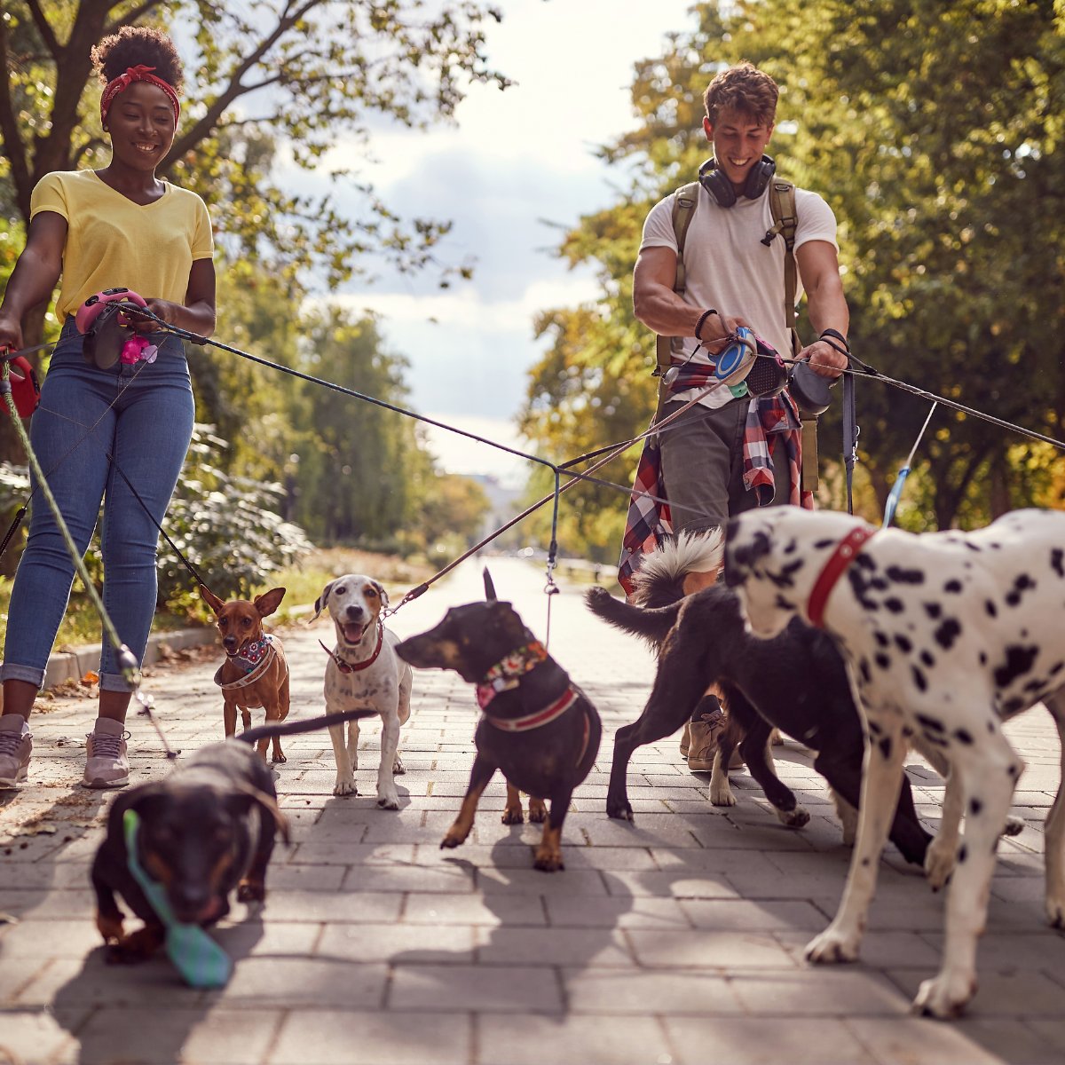 Vertical Incorporated tweet media