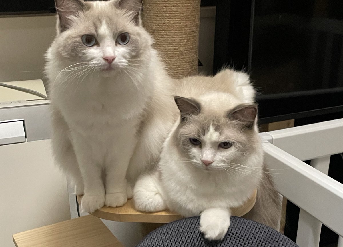 そこ狭くない？笑