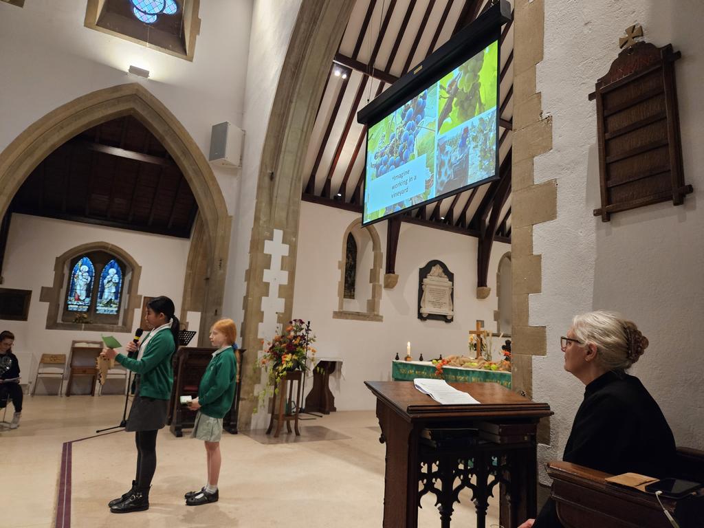 St Peter's C of E Primary School, Farnham tweet media