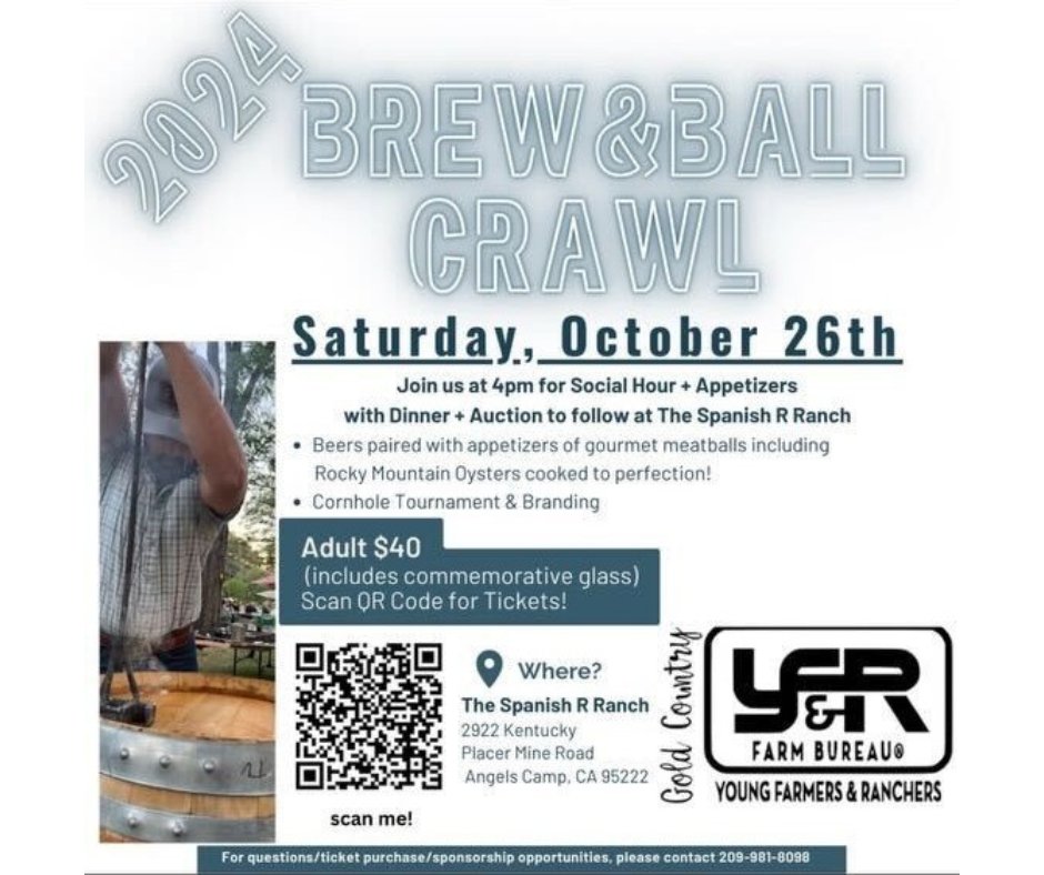 ConiferInternet's tweet image. Mark your calendars Brew &amp;amp; Ball Crawl 
October 26th, 2024