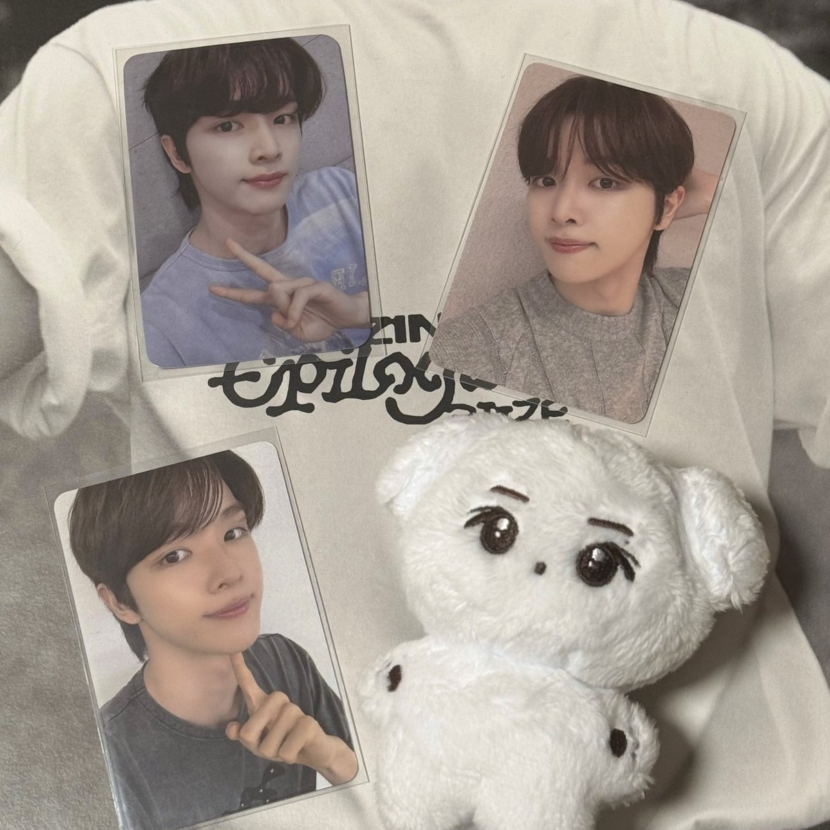 숑뭉이 
૮ • ·̫ • ა