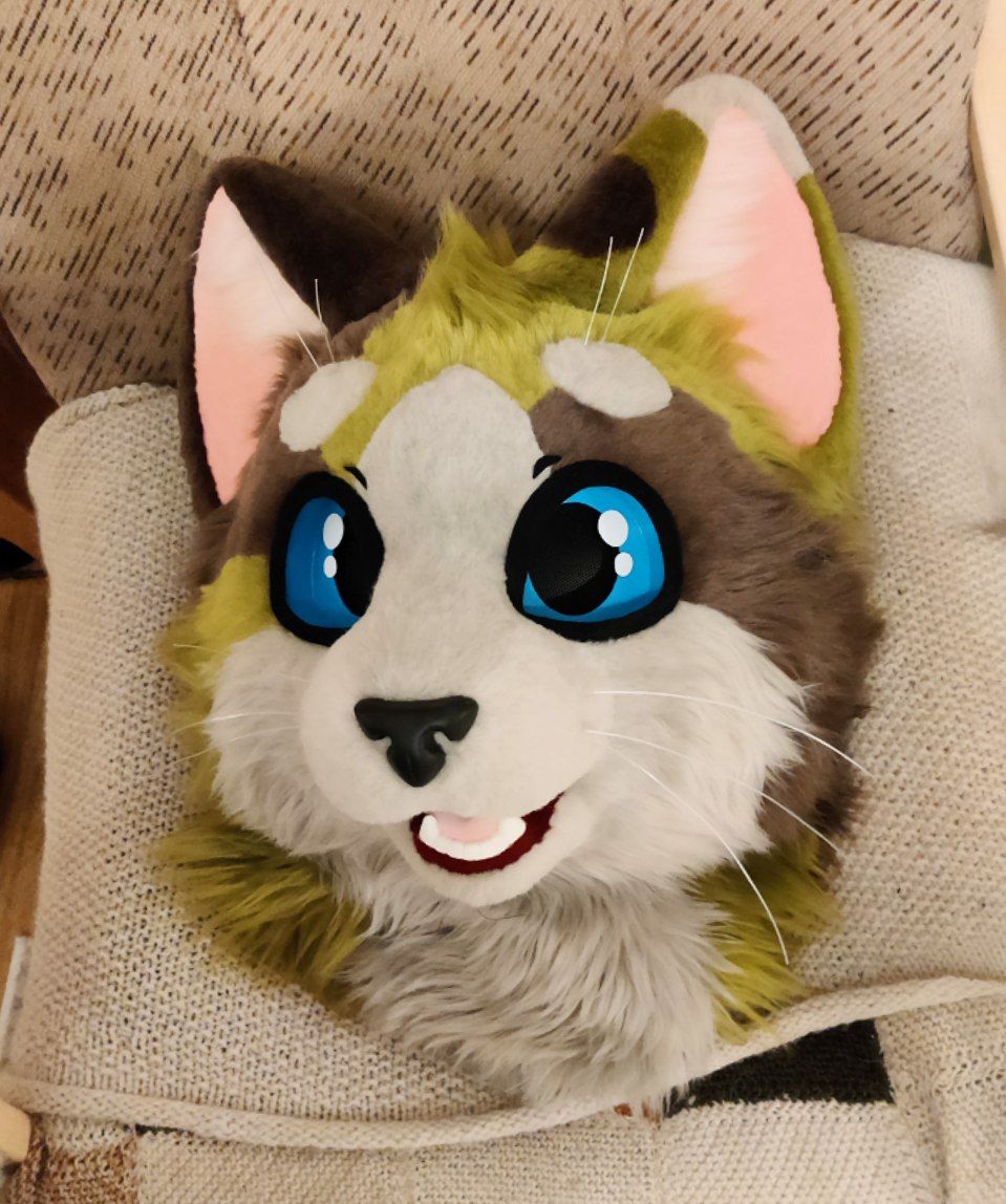 Gato gatito súper gordito 😺✨

Another commission project done (and not a moment too early ⌚)

Meet him at Finfur Animus this week 🐈