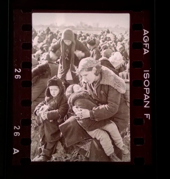 Auschwitz Exhibition tweet media