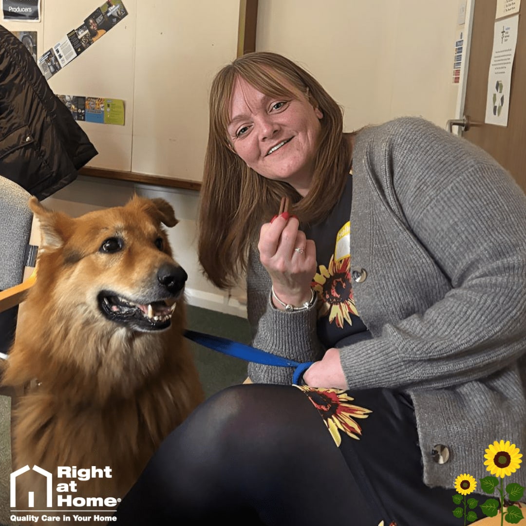 RAHTwick_Rich's tweet image. The Guildford Sunflower Cafe had a special visitor today! Meet Mikey, a PAT dog 🐾. Our community groups are perfect for socialising, enjoying tea, and fun activities. 

Contact us for more information:
📞 +442033763535

#PATDog #CommunityEvents  #RightAtHome