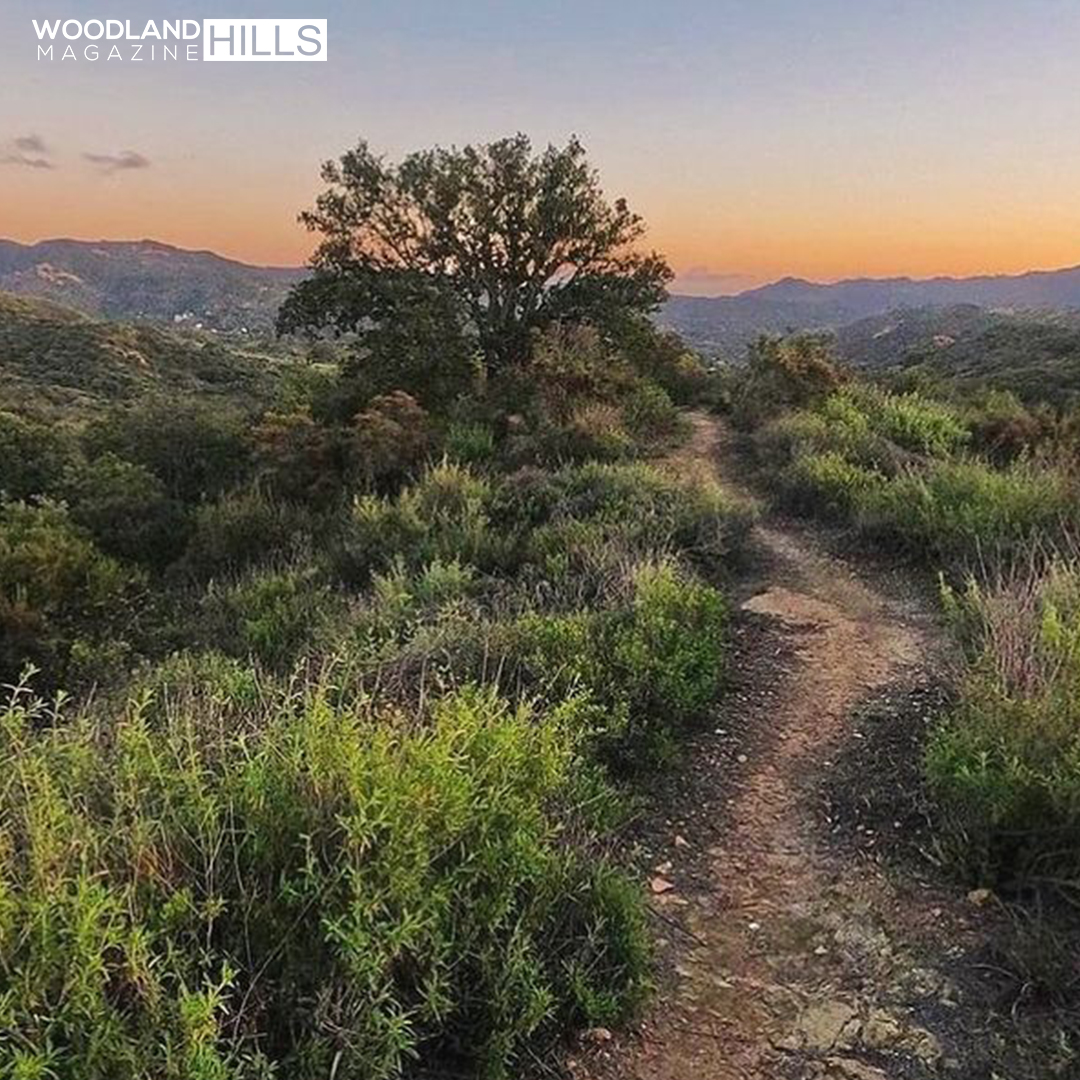 WH Magazine tweet media