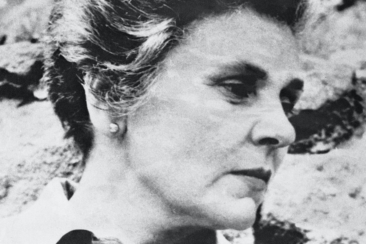 Katharine Towers 🍃 tweet media