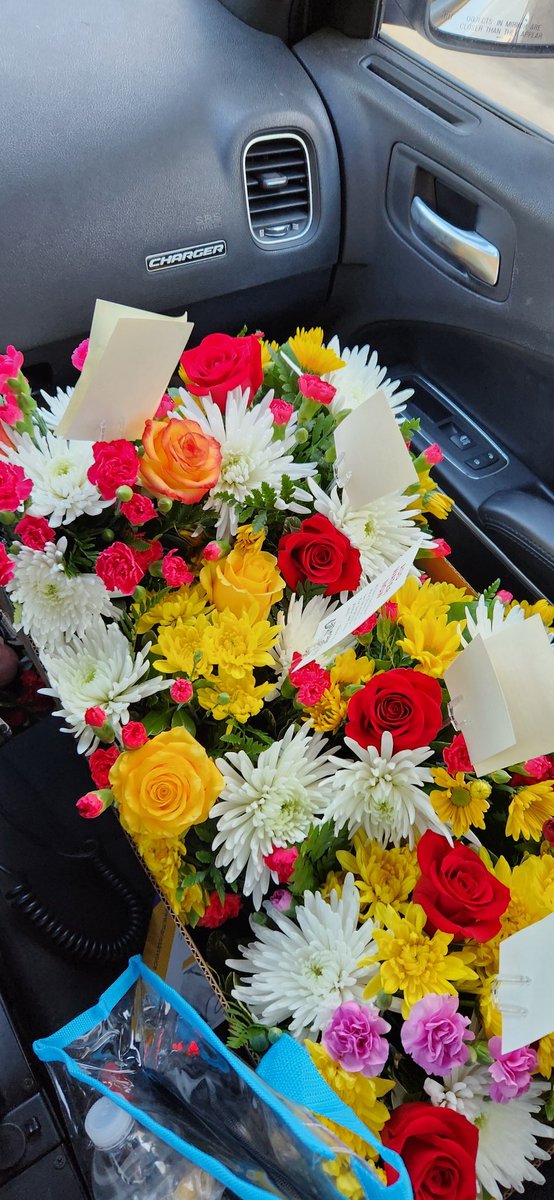 Dallas Southeast tweet media