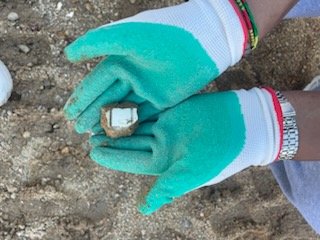 CDIGauguin45's tweet photo. Festival AR(t]CHIPEL @N_Renaissances Workshop Jardin Monde avec les architectes Eugénie Palau et Allan Mensah. Les CAP APH et leurs camarades d'UPE2A glanent des débris et des plantes sur le chantier de l'ex T17. Malik Nejmi guide la troupe. https://t.co/AwSdTvXtNg