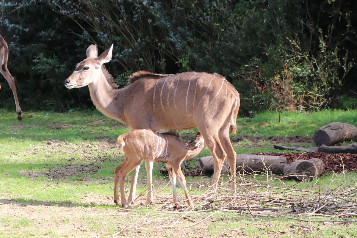 de PEYROLLE tweet media