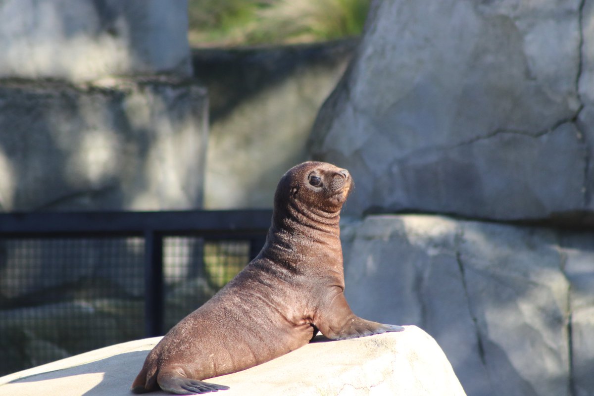 de PEYROLLE tweet media