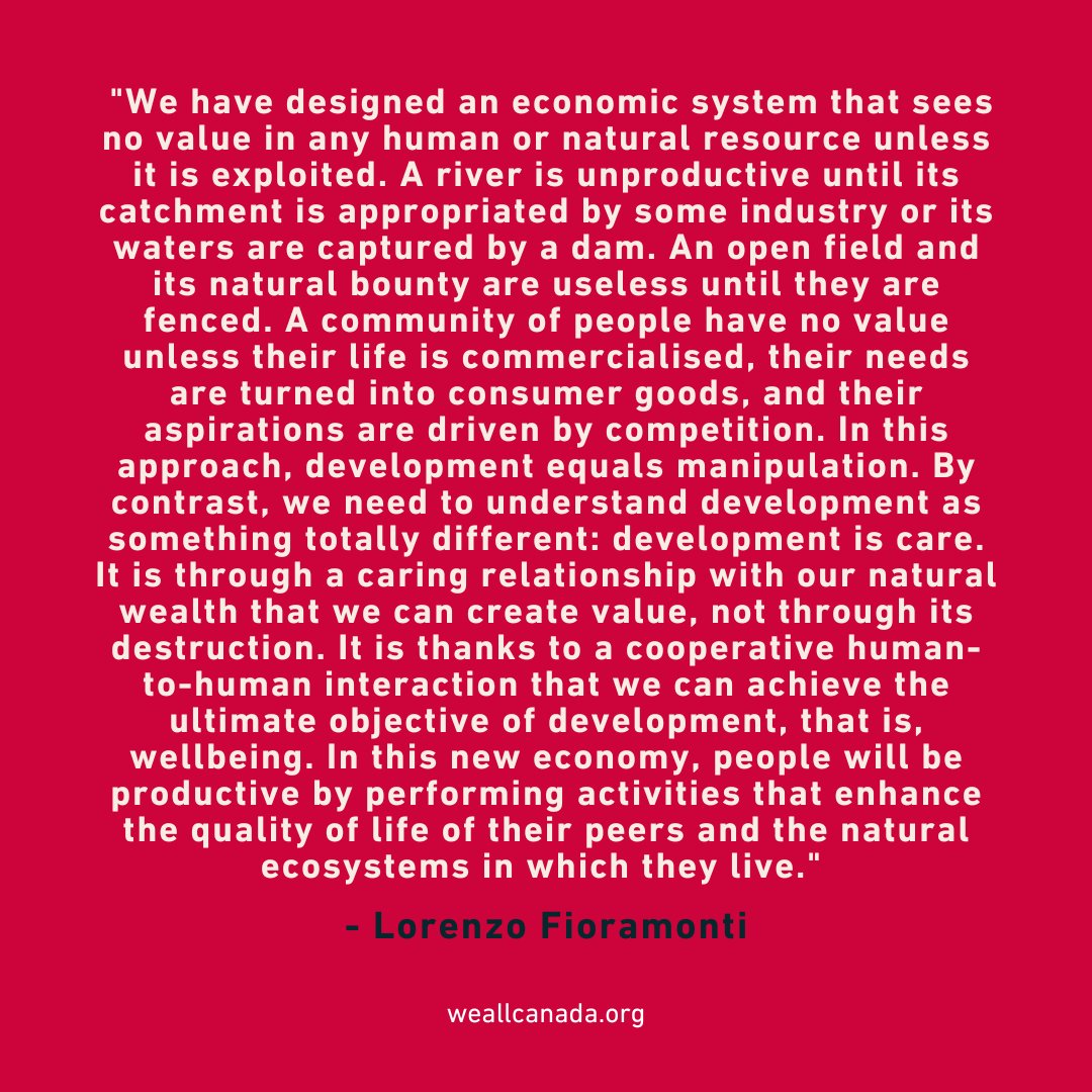 David Suzuki FDN tweet media