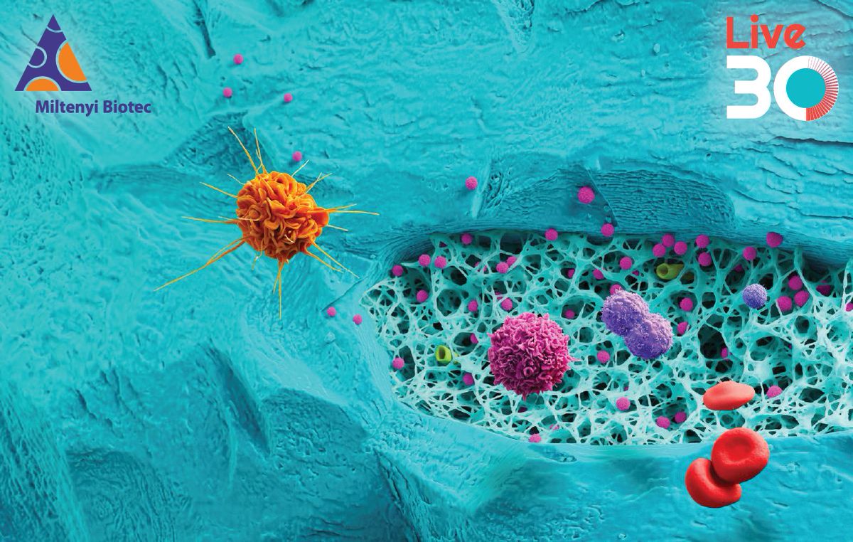 CGT_Insights's tweet image. Switching from manual to automated #hematopoieticstemcell (#HSC) #geneengineering

This #webinar will provide insights into transitioning from manual to automated #HSCgeneengineering and present real-life data demonstrating the benefits

Register below:
buff.ly/3UaaUVH