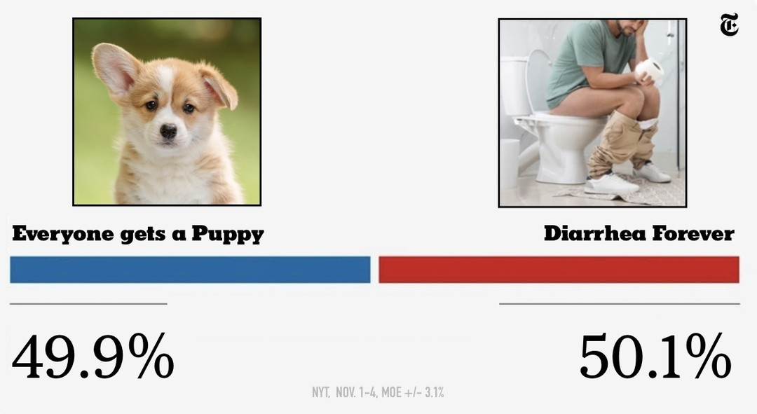 every poll