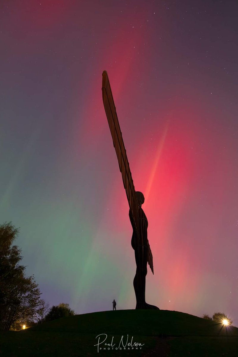 Got the new sigma art 24mm just in time 😍