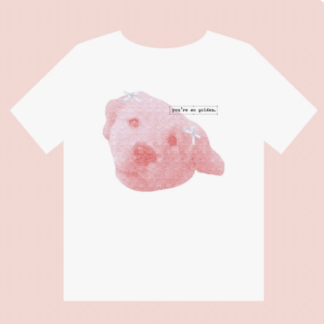 🥹🦮🐶✨ รับหลักการเป็นกู้ดบอยกับคิงคอง