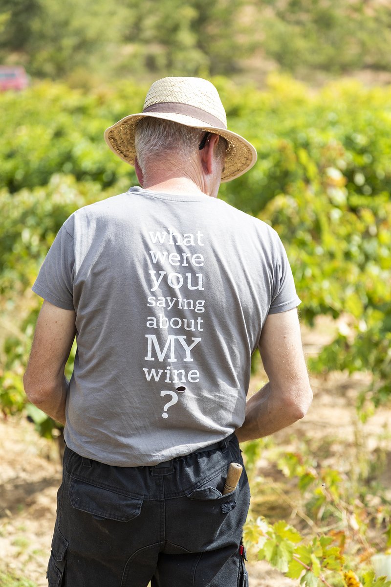 ignaevan's tweet photo. Shooting for Bodegas Casajús /Casajús Winery (Ribera del Duero, Spain) https://t.co/MCvk6jpuft