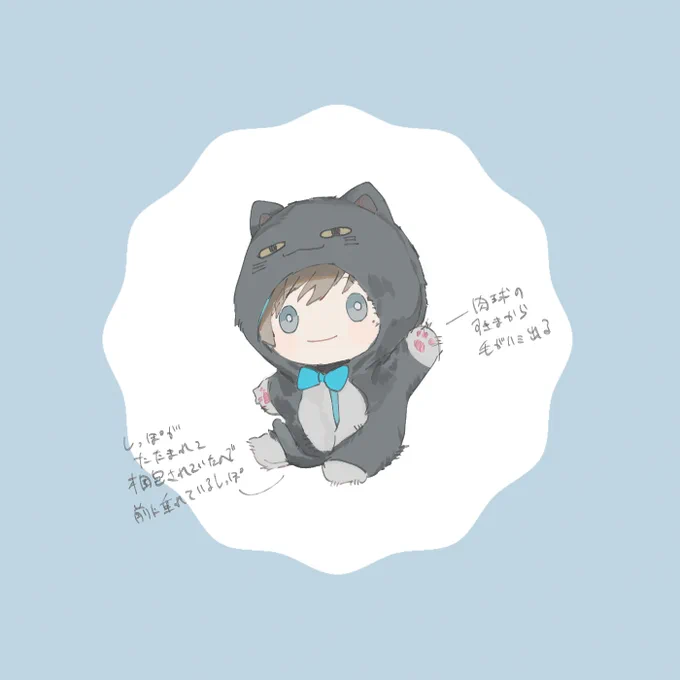 ぬいのきぐるみ届いた吸った 
