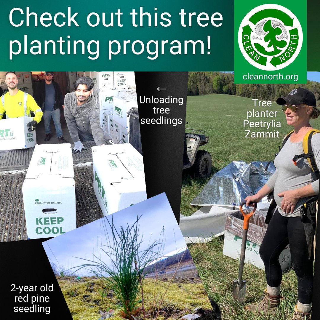 Got open land you'd love to see planted with trees?? We've got details on how to do this at very low cost! Follow link in our bio!

#environment #treeplanting #climatechange #cleannorthsault #saultstemarie #algoma