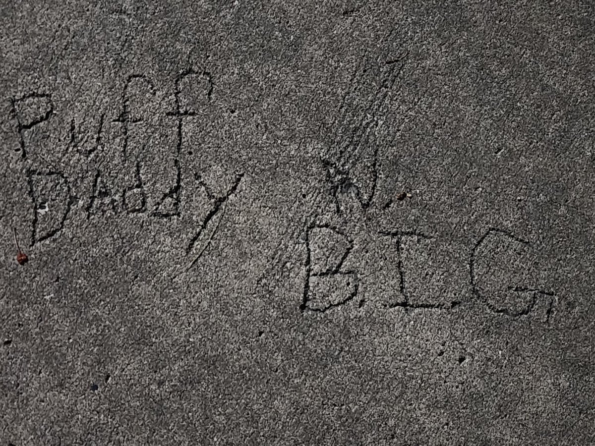 Concrete near me didn't age well.