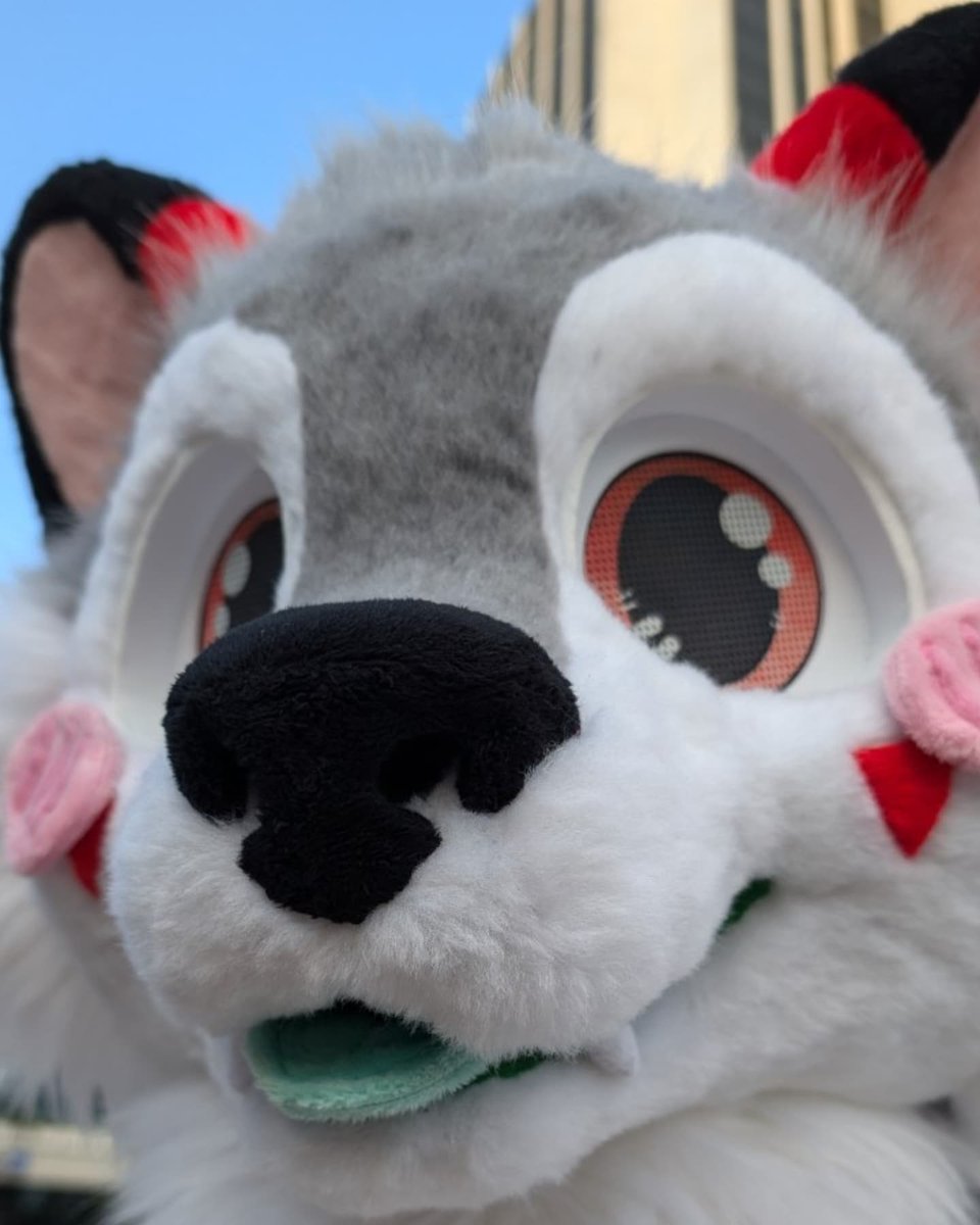 мıпт 🌱 tweet media