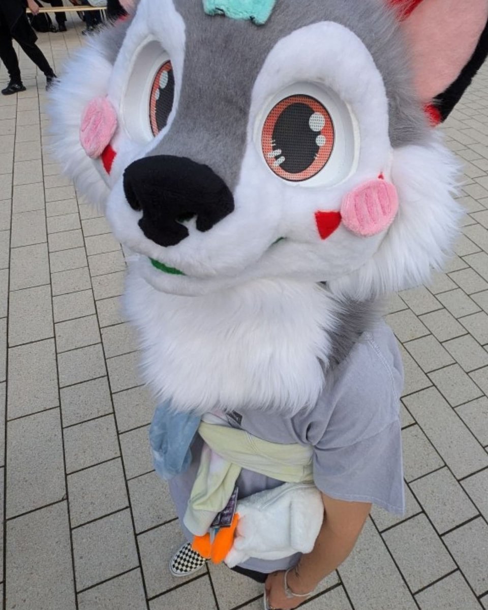 мıпт 🌱 tweet media